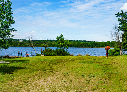 Beaverdam